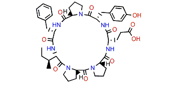 Carteritin A